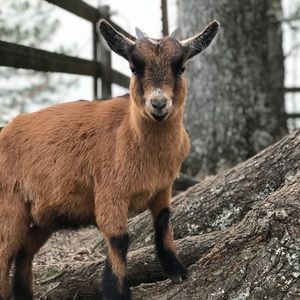 Meet your Posher, Vanessa